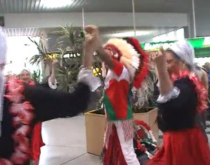 Les Supporters de Munster à Biarritz