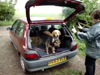 Eastie all grown up 004