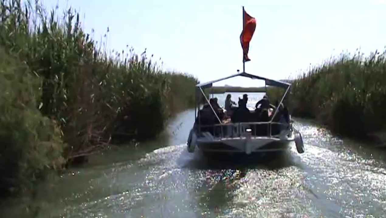 Dalyan Kanalları Su Doğal Yaşamı 2 Wildlife of the Dalyan 2