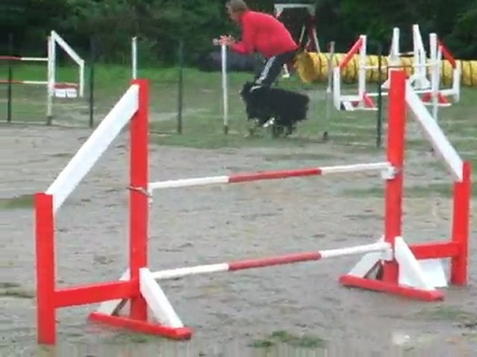 Tao jump 3 degré Sélectif Régional 2010