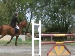 Jet2 Airlines Overview ✈️