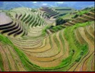 sobhan allah mounir el mehdi