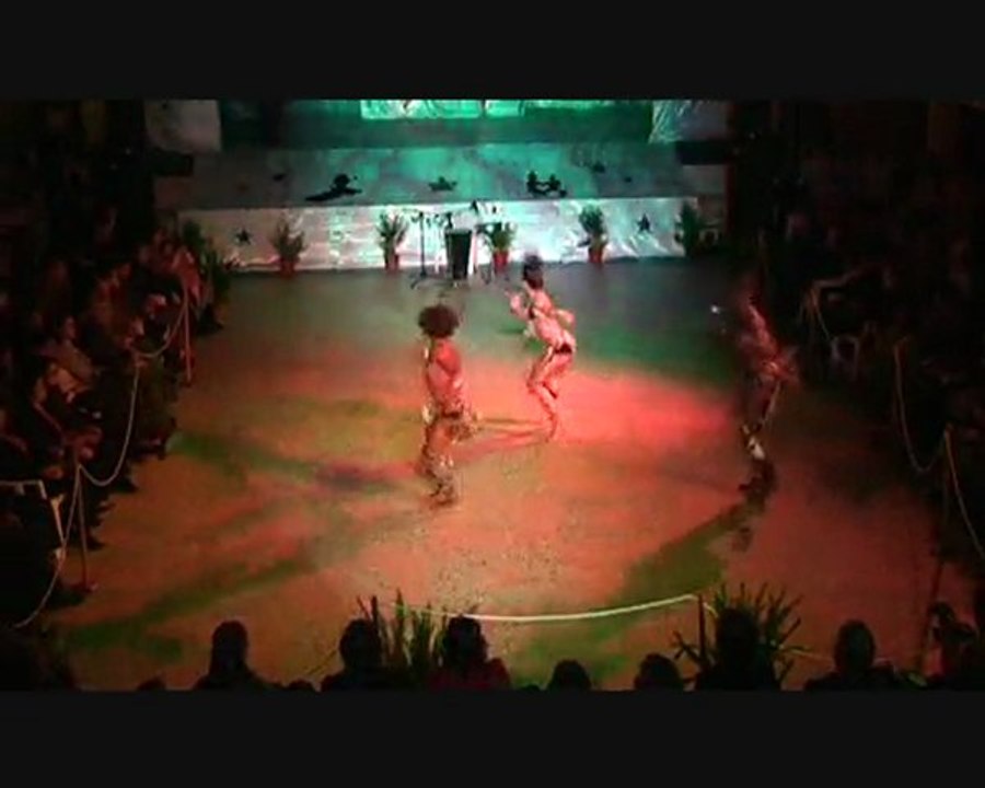 V VAMOS DANÇAR 2010