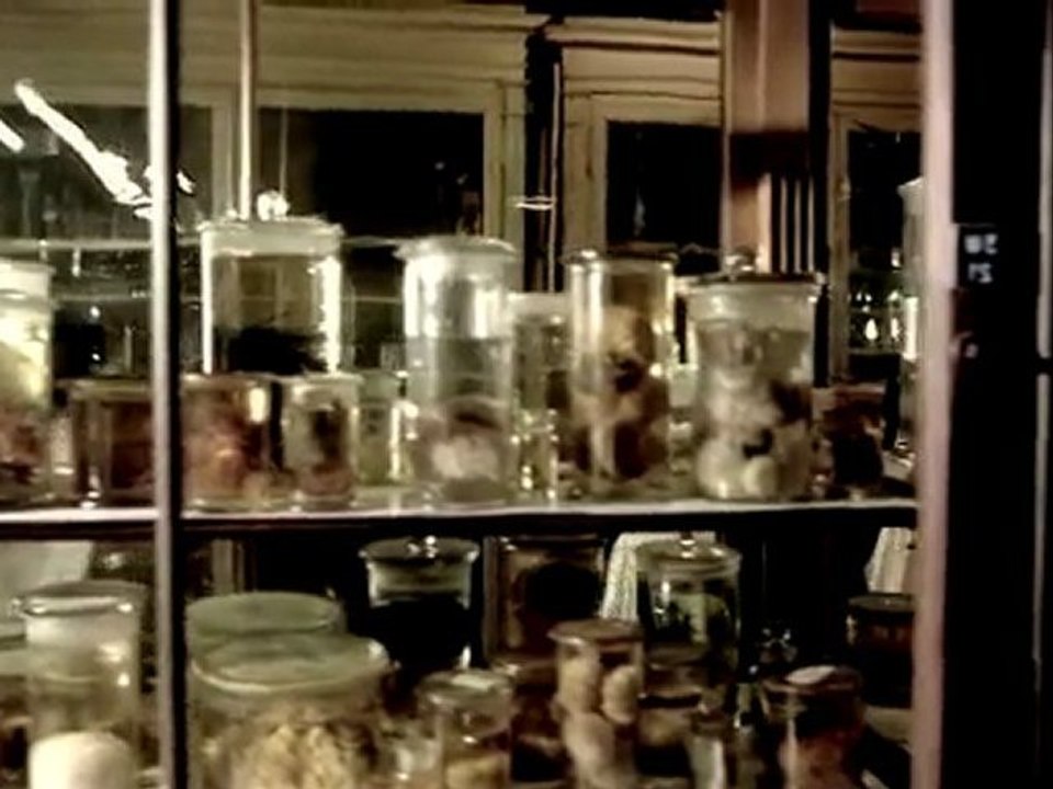 IN STRICT CONFIDENCE "Silver Bullets"