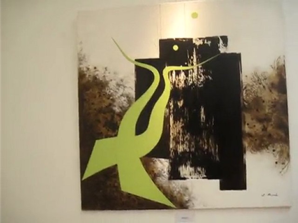 visite de l'exposition "un artiste une oeuvre"  Salviac 2010
