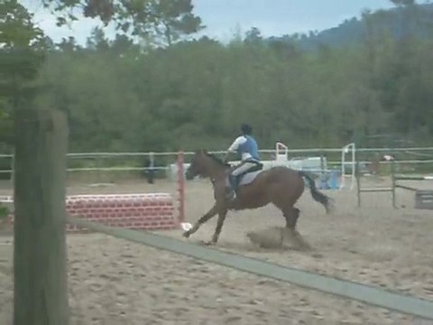 [[2 Mai 2010]] 1er concours vec Lulu ... C3