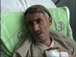 Ayı vatandaşı hastanelik etti