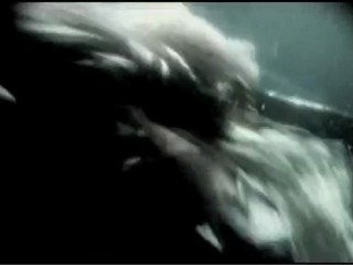 IN STRICT CONFIDENCE "The harder they come..." (Hecq Remix)