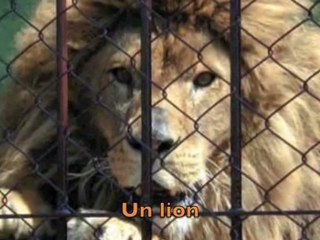 Vidéo de candidature Jean Puga / Tour du Monde France Soir