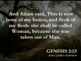 Where did Cain get his Wife?