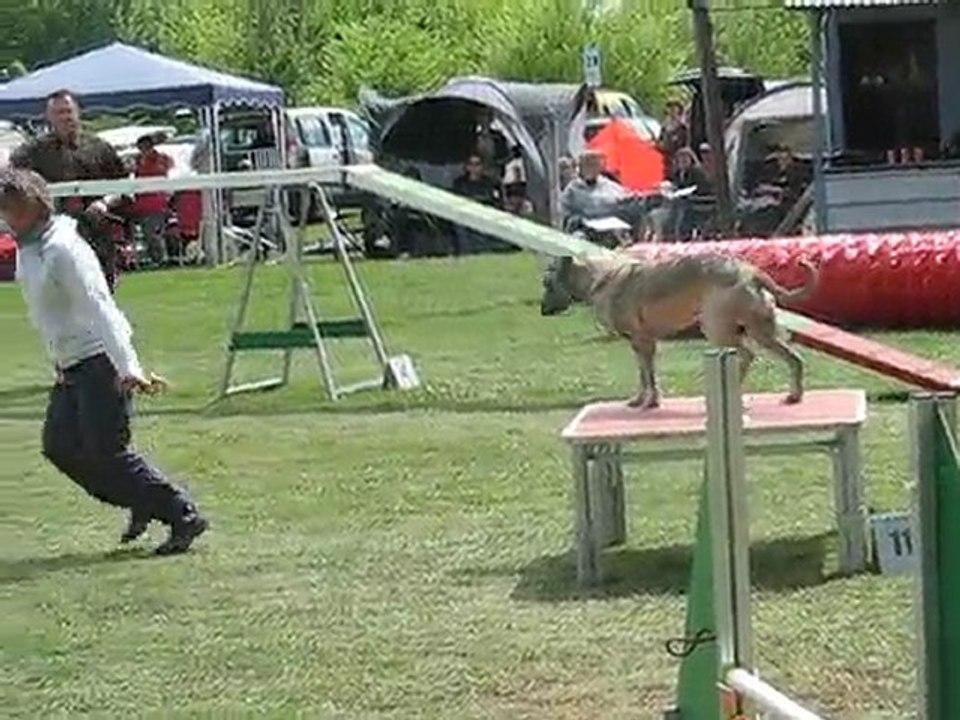 concours d'agility du subdray le 02-05-2010 100