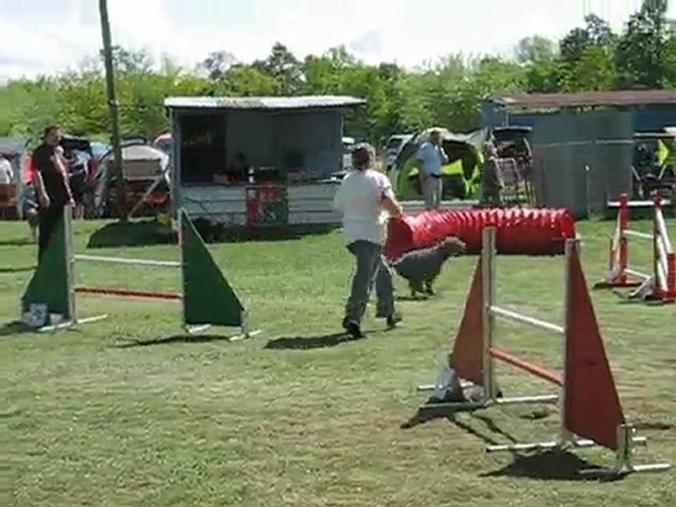 concours d'agility du subdray le 02-05-2010 102