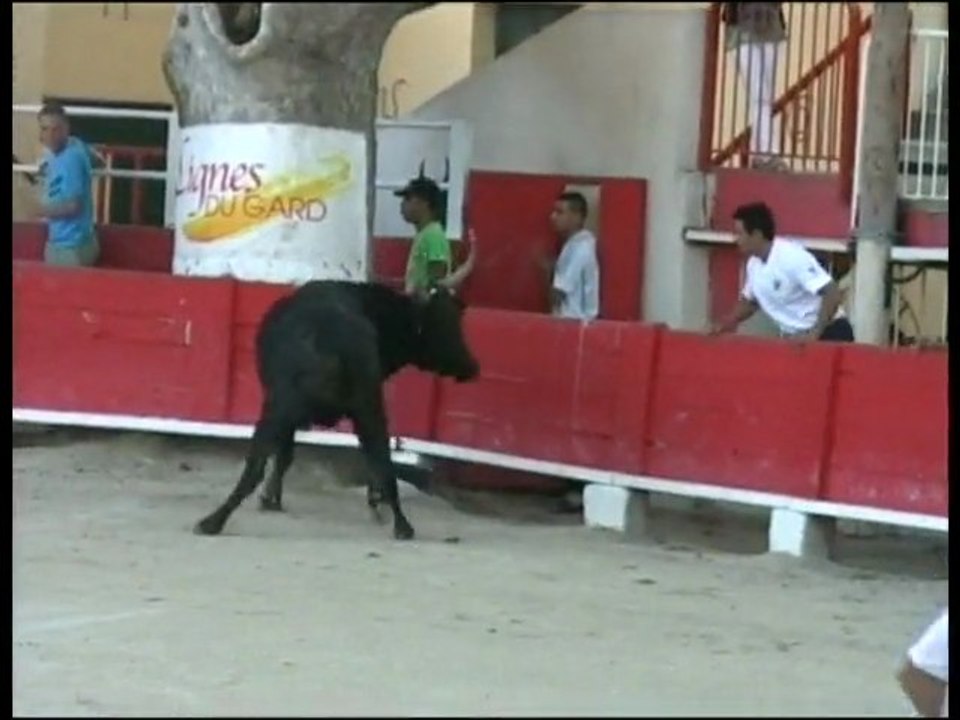 Forum du 30 avril 2010 : Graines de Toreros / Raseteurs