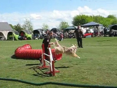 concours d'agility du subdray le 02-05-2010 103