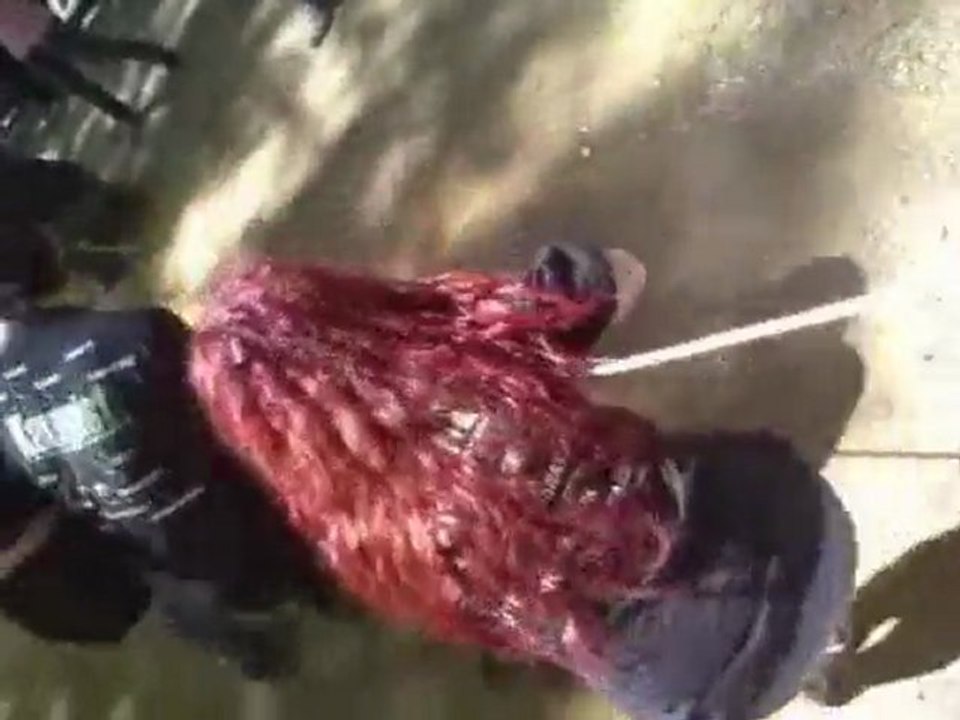 Halat Çekme Yarışması