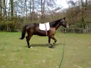 Nyamoko - Longe le 25/O4/2O1O;