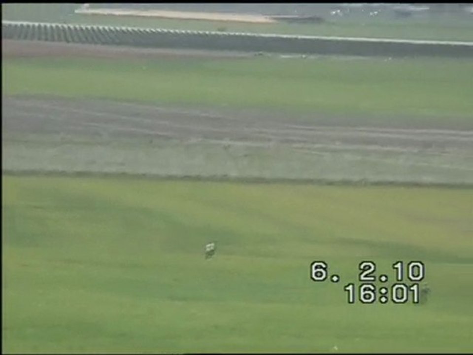 tambo concours de grande que osuna 2010