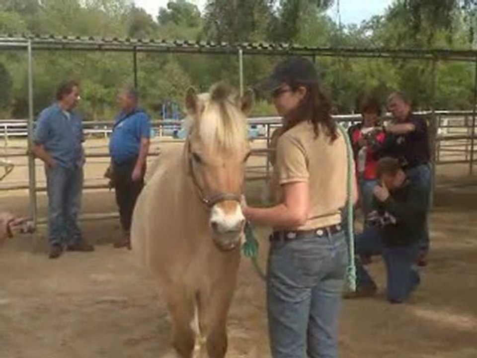 Equine Thermography Class by EquineIR