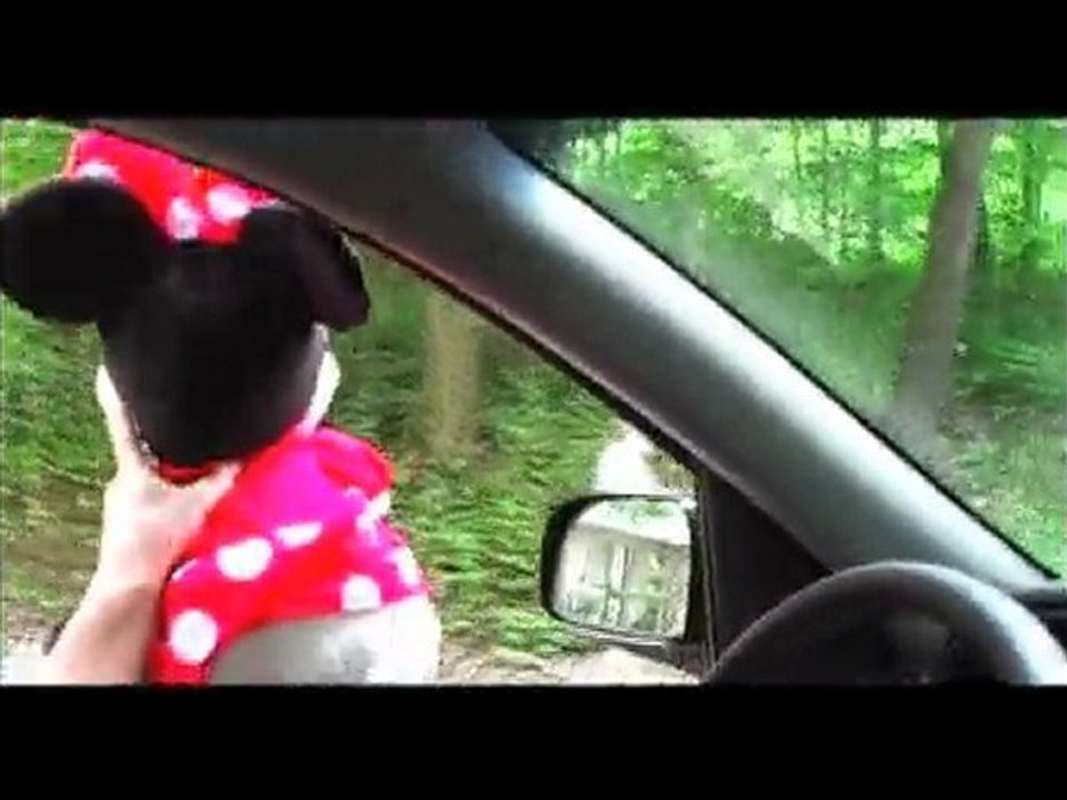 The Creepy Mickey Mouse