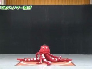 84回23番 タコのハンマー投げ