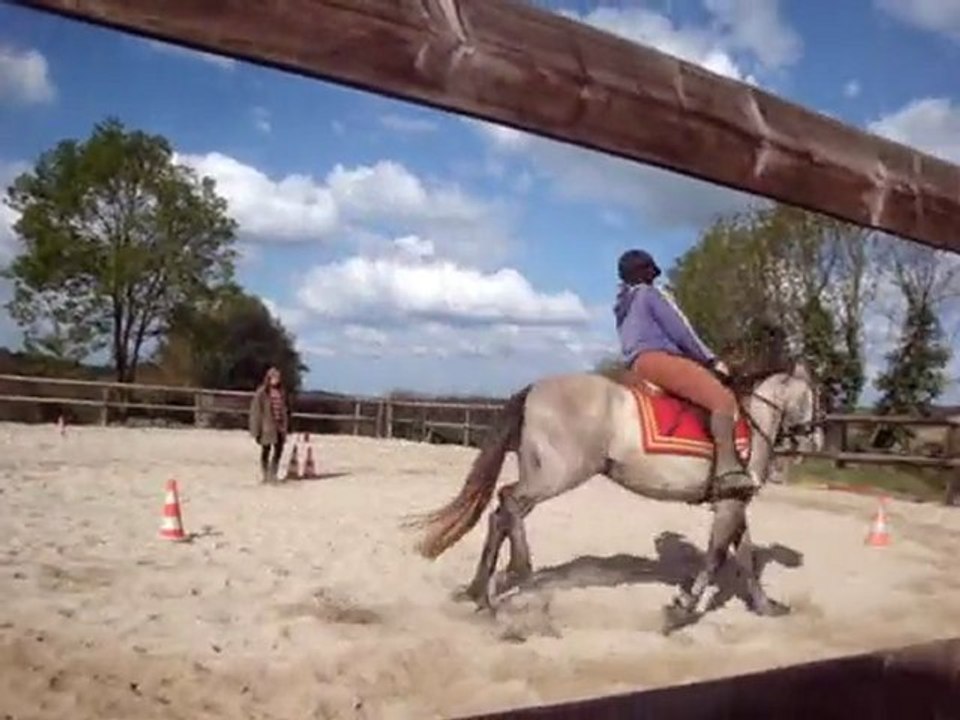 ceniza galop