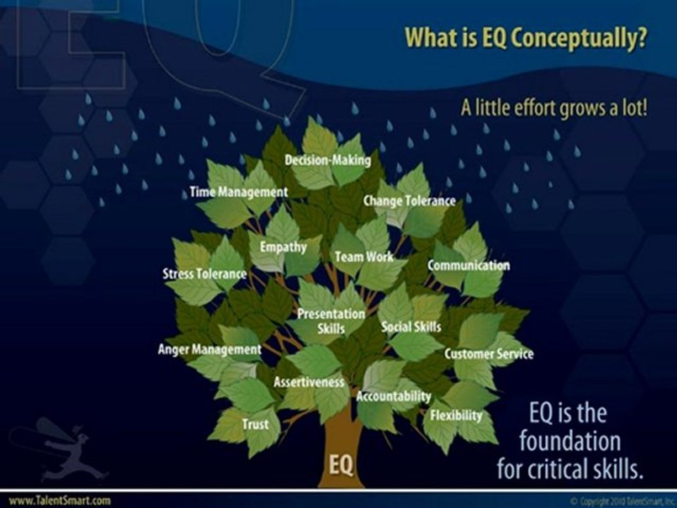 Travis Bradberry - Emotional Intelligence and the Brain