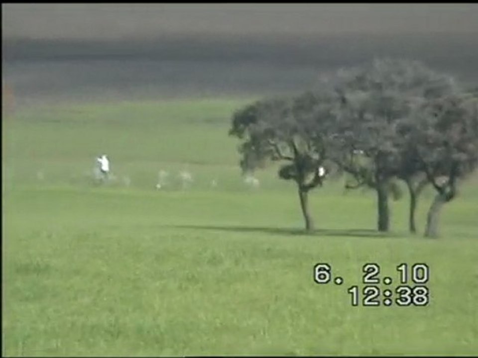 tino &diesel osuna 2010