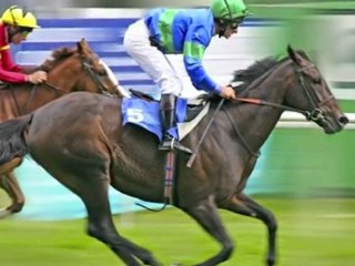 Betting Underground Sports Betting System