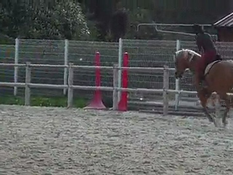 THE GOLD FOX etalon PS 4ans