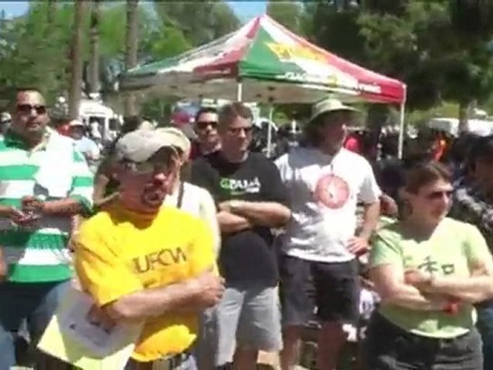 Capoeira for the Cause
