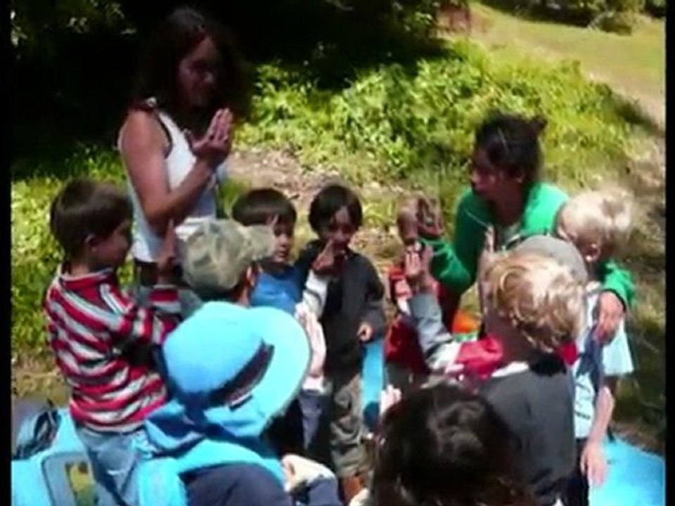 Tree Frog Treks Summer Camp video Dailymotion