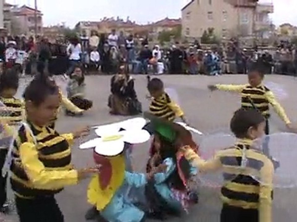 Arılar