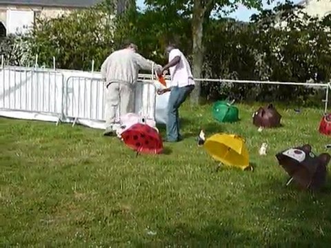 passage du TAN d'Elixire NE BULLDOG ANGLAIS Roiffé 2010