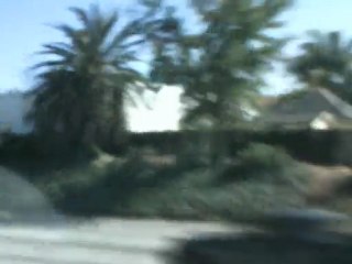 driving through 'los anyeles'