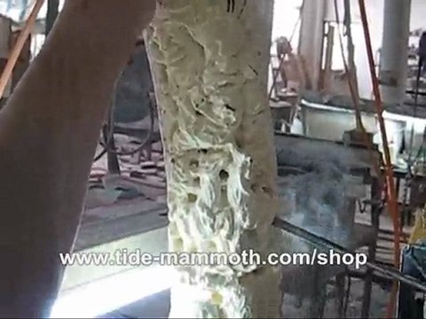 mammoth ivory tusk carving Animals in African Forest