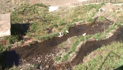 Selda Gölü Turumuz 02.05.2010 Selda Structure of Natural Env