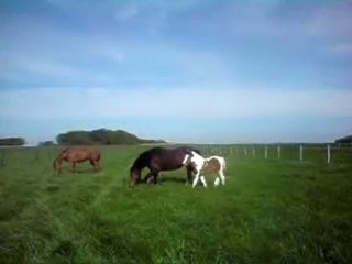 La nouvelle copine des filles