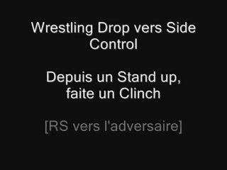 UFC 2010: Wrestling Drop vers Side Control (Rashad)
