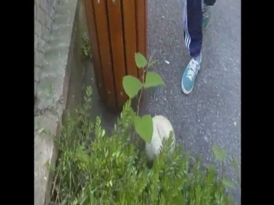 foot jeune ( street, jongles, barres )