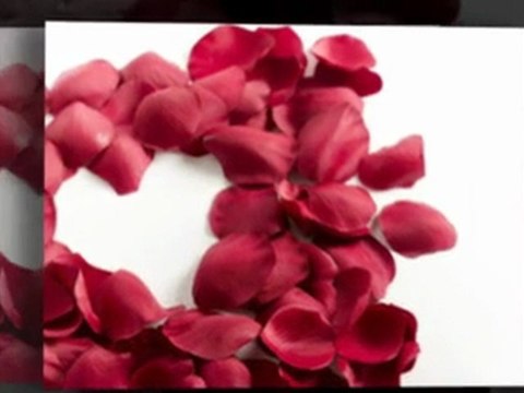 San Francisco Marriage Counseling Therapist