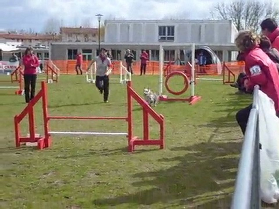 JUMPING St Paul les Dax