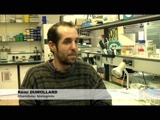 La recherche en biologie