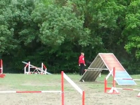 Bony agility Sélectif Régional 2010