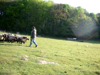 Ekinox troupeau 2e cours