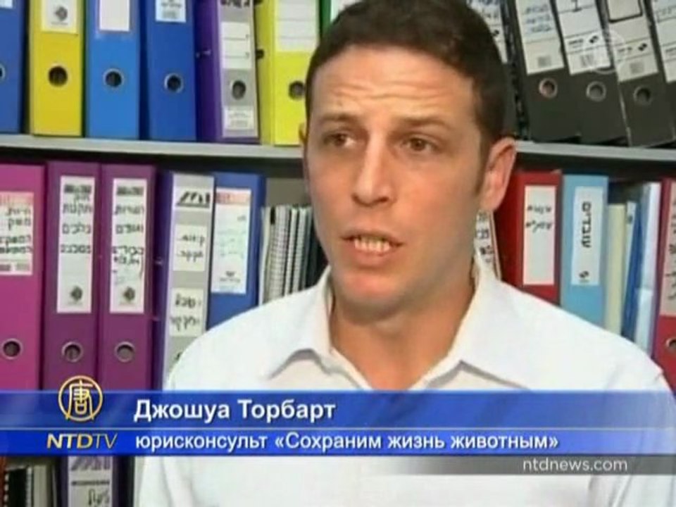 В Израиле могут запретить мех