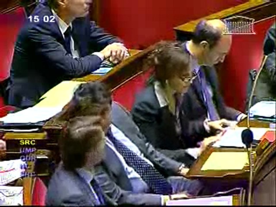 Journalistes otages afghanistan Bruno Le Roux Assemblée