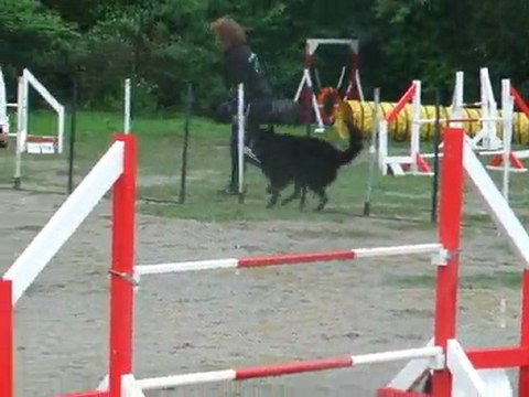 Auckland jump 3 degré Sélectif Régional 2010