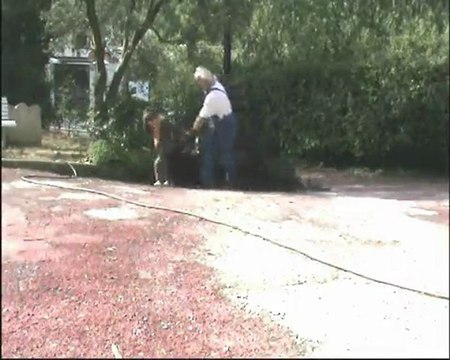 Broyât-Cypres : Comment perdre utilement 21 359 Kcals