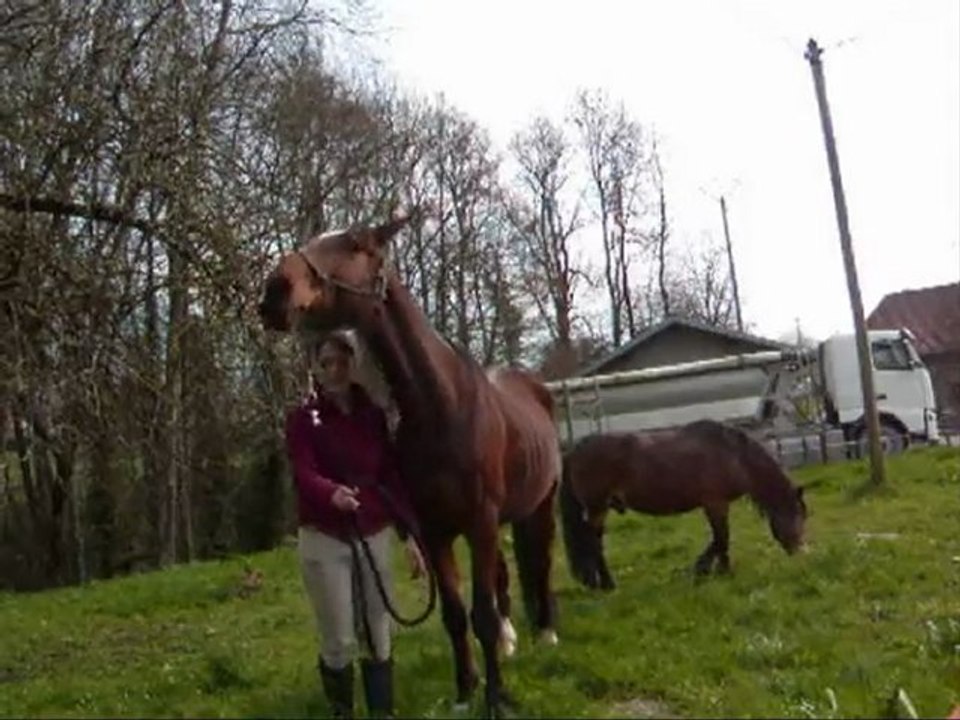 13 avril 2010