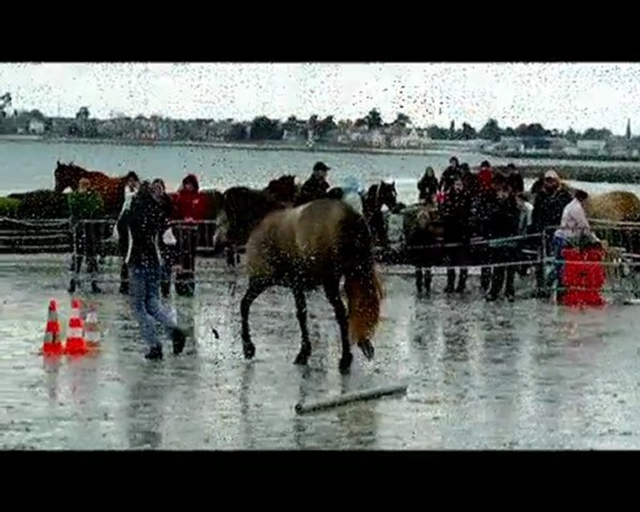 betisier combrit mai 2010